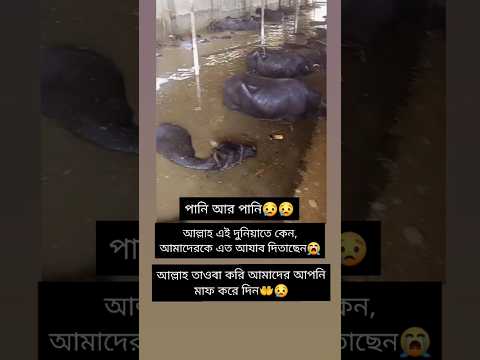 পানি আর পানি, আল্লাহ আমাদের সবাইকে মাফ করে দেন😢 #viralvideo