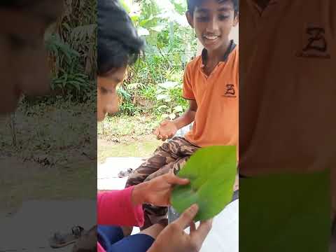 മാജിക്‌ ✨️പേപ്പർ full viedo #fishingfreaks #m4tech #shortsviral #youtube #comedy 🤣🤭last twist💥