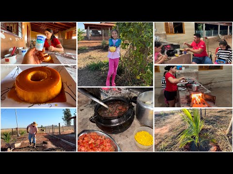 MAIS UM DIA DE TRABALHO NO NOSSO RECANTO🙏🏼FIZ PUDIM DE IOGURTE| PREPAREI FEIJOADA NA JANTA 😋