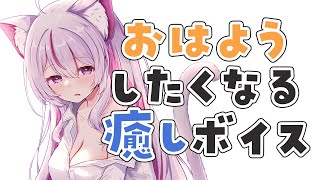 【#朝活 #雑談 /初見歓迎】222人におはようしたい！癒しのカワボはこちらまで【#Vtuber/#ねこみあらいぶ】