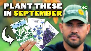 19 Crops to Plant in September ASAP!