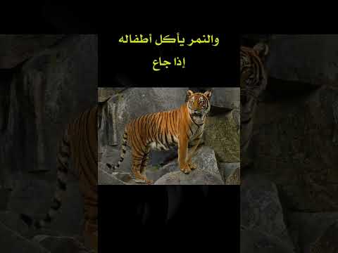 اختبر معلوماتك حول عالم الحيوانات 🐪🐅🦒🦘🐇🦦🐘🦌 #نمي_عقلك #معلومات_عامة #سؤال_وجواب #معلومات #foryou #fyp