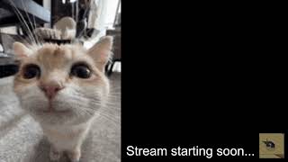 🧹 House Maid Stream 🧽 - 05.07.2026