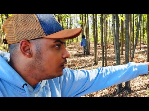 ABSURDO POSSÍVEL HOMEM CANIBAL PODERIA TER NOS ATACADO NÃO VIMOS ELE MOMENTO ALGUM