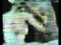 r0yalgate