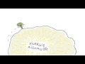 Understanding Earthquakes