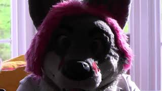 Wild North 2023 Swordfighting, Fursuit Games, Crystal Dome