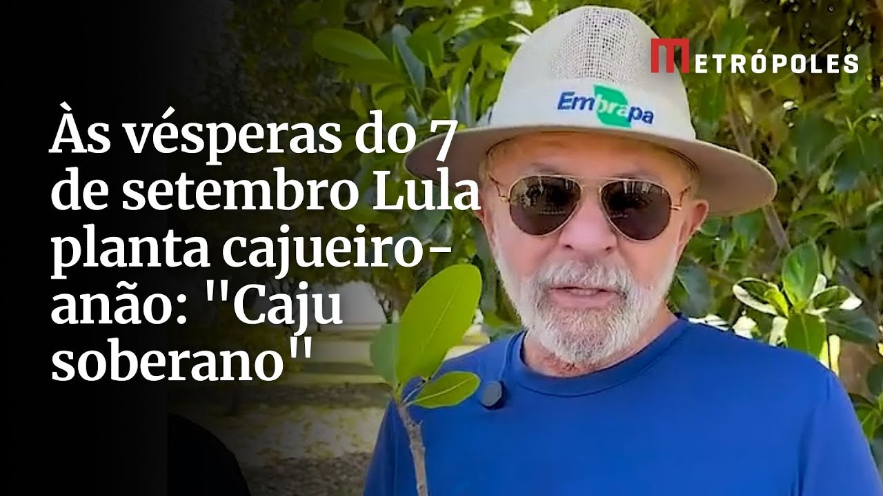 Às vésperas do 7 de setembro Lula planta cajueiro anão Caju soberano