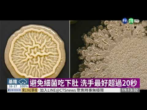 什麼都在摸! 雙手細菌數超過馬桶 | 華視新聞 20191204 - YouTube