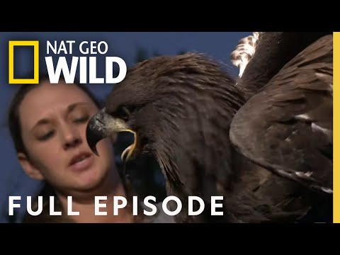 The Bald and the Beautiful (Full Episode) | Bandit Patrol