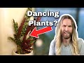 Plant Movement and Growth Concepts