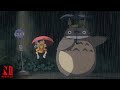Understanding the Video Transcript