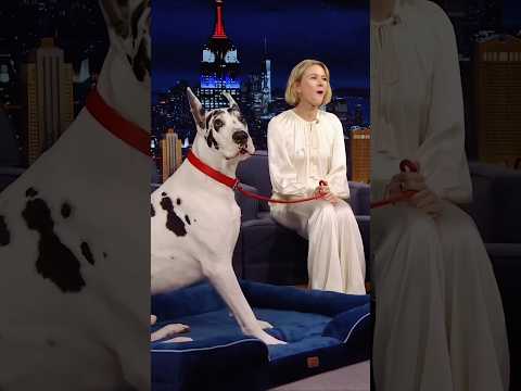 Actress के Dog ने कर दिया ऐसा, भीड़ दंग रह गई!" #shorts