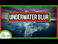 Understanding Vision Underwater