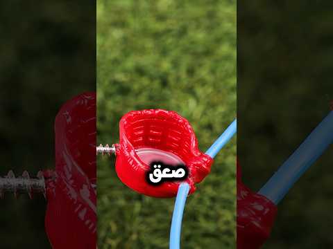 أمي مسكت حرامي وكانت المفاجأة 😂