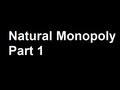 Monopoly Regulation and Pricing Concepts