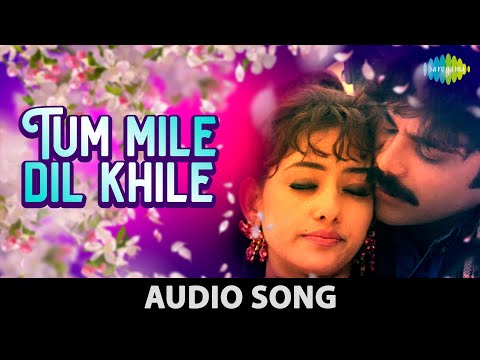 Tu Mile Dil Khile