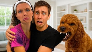 MY DOG HATES my CRUSH?!