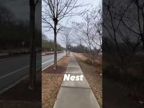 Run until: 5 things starting with “N”