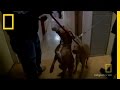 Rescue Mission in the South Bronx