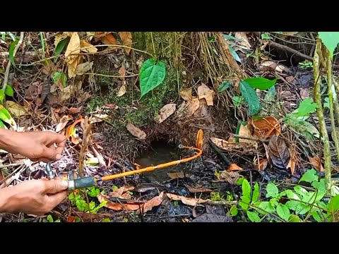PEMANCING IKAN LEMBAT | MANCING IKAN LEMBAT DAPAT PREDATOR DI LUBANG MISTERIUS | fishing 2025