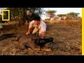 Studying Komodo Dragons with Technology