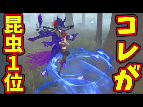 【第五人格】昆虫学者１位に寄せようとしていんですか！？ご褒美なんですけど！！！【IdentityⅤ】【アイデンティティ5】