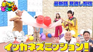 動画サムネイル