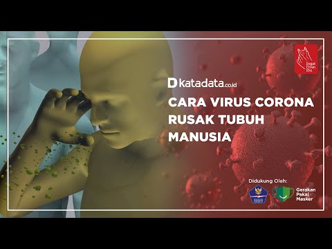 Cara Virus Corona Rusak Tubuh Manusia | Katadata Indonesia