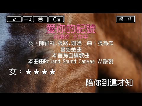 愛你的記號-向蕙玲&王中平(Karaoke伴奏)