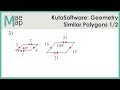 Similarity in Polygons and Angles