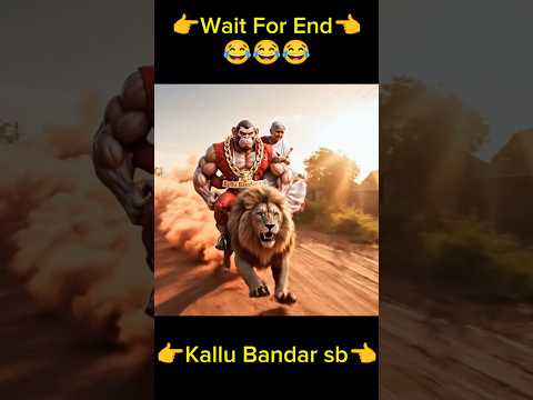 जब दादी कल्लू बंदर को लैम्बॉर्गिनी लाने कहती है, तब कल्लू बंदर जो करता है😂#aimonkey #funny #shorts