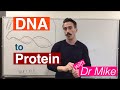 Genetic Code and Protein Function