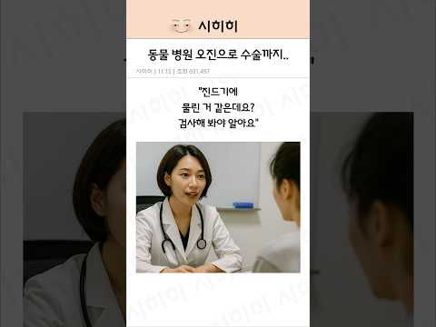 동물 병원 오진으로 수술까지..