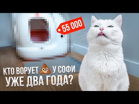 PURA MAX Petkit: ОБЗОР НА АВТОМАТИЧЕСКИЙ ЛОТОК / КАК МЫ ЖИЛИ БЕЗ НЕГО?