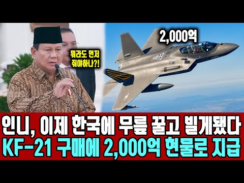 인니, 이제 한국에 무릎 꿀고 빌게됐다 ㅣ 인도네시아가 KF-21 구매에 2,000억 현물로 먼저 지급하겠다고 한국에 항복한 상황