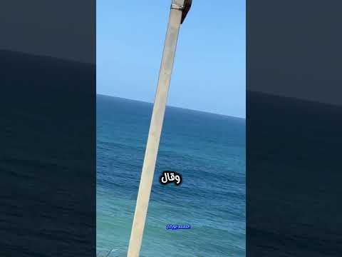 #duet #food #plat #قصص_حقيقية #اكسبلور #cooking