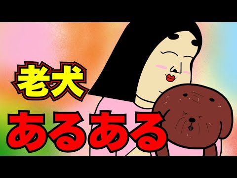 老犬にありがちなこと【漫画動画】