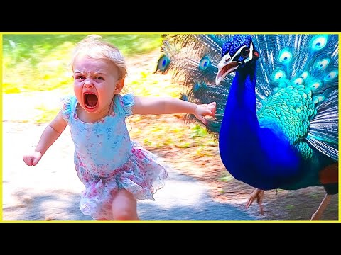 Baby Meets Farm Animals - Cutest Reactions Ever! || Peachy Vines