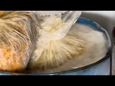 #urgente 🚨🚨🚨🚨🚨‼️