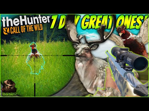 I Hunted Multiple Great Ones For 7 Days And Got INSANE Results! (Fallow & Pheasant) Call of the wild