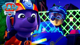 Os animais fugiram e estão a tomar conta da cidade! 🐘🐾 | PAW Patrol | Episódio Português
