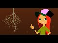Understanding the Nitrogen Cycle