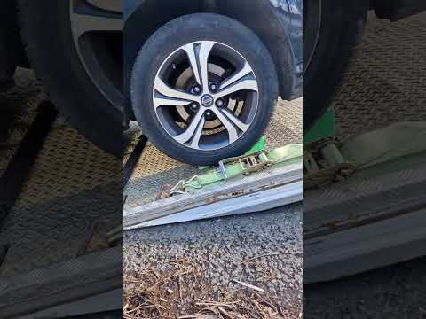 Let's try this good stuff, this time with wheels? Let's just put on some chicken feathers!