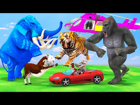 Giant Elephant Cow Vs Giant Tiger Gorilla Chase Baby Elephant Cow Cartoon Elephant vs Tiger