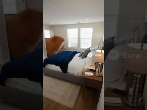 fat cat videos are so funny #sora cat