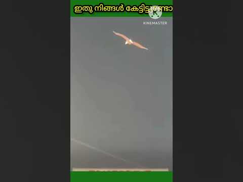 ഇതു നിങ്ങൾ കേട്ടിട്ടുണ്ടോ 😳🥵#shortsfeed #india #share #shortvideo #shorts #viralshorts #shortsviral
