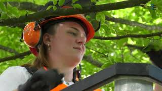 Stadt Emden: Ausbildung im Garten- und Landschaftsbau