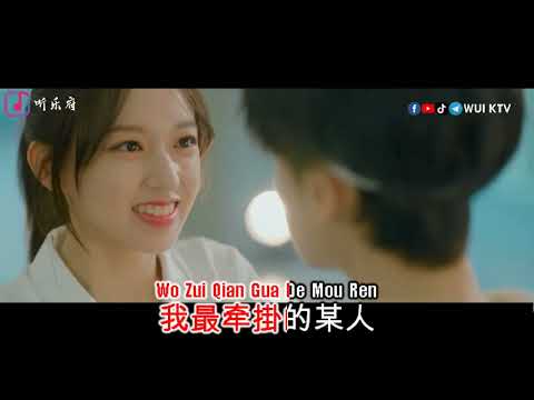 Wang You Xiu 王優秀 – Xiang Mou Ren 想某人 KTV [KARAOKE] [NO VOCAL] [PINYIN]