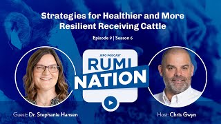 S6: E9 | Strategies for Healthier and More Resilient Receiving Cattle with Dr. Stephanie Hansen